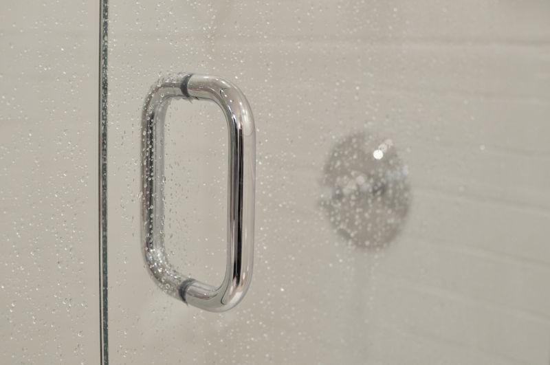 Clean and Maintained Shower Door